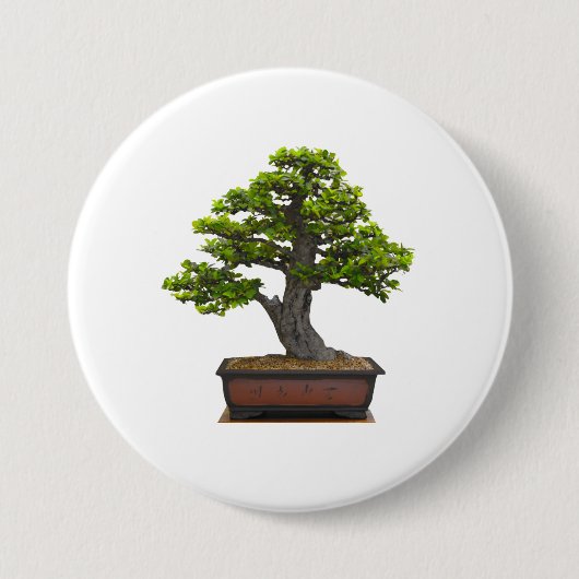 bonsai boom ronde button 7,6 cm (Voorkant)