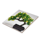 Bonsai-boom Tegeltje (Zijkant)
