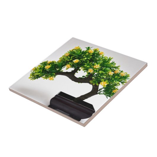 Bonsai-boom Tegeltje (Zijkant)