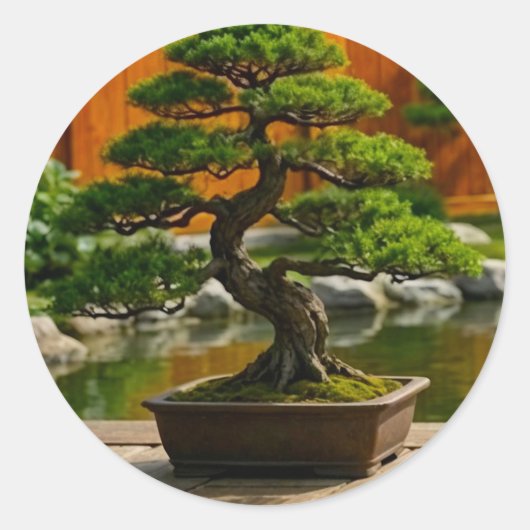 Bonsai Boom van de Draak van Balans Ronde Sticker (Voorkant)