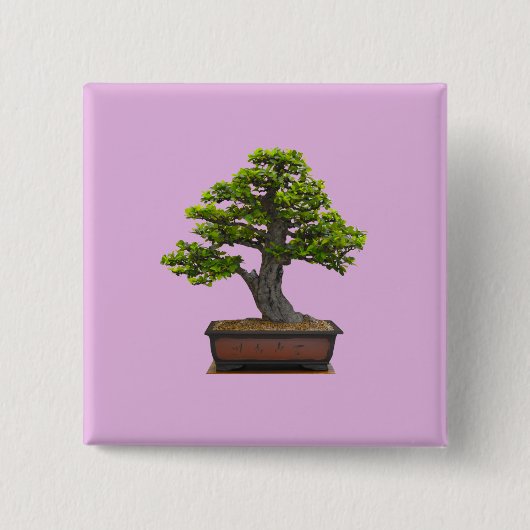 bonsai boom vierkante button 5,1 cm (Voorkant)