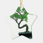 bonsai-boomschildering keramisch ornament (Links)