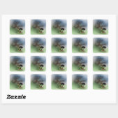 Bonsai Boy Vierkante Sticker (Vel)