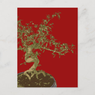 Bonsai Briefkaart