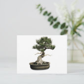 Bonsai Briefkaart (Staand voorkant)
