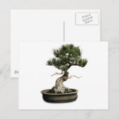 Bonsai Briefkaart (Voorkant / Achterkant)