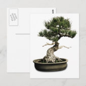 Bonsai Briefkaart (Voorkant / Achterkant)