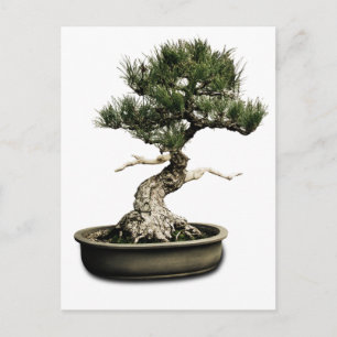 Bonsai Briefkaart