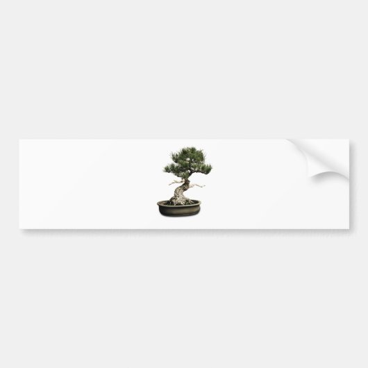Bonsai Bumpersticker (Voorkant)