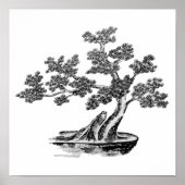 Bonsai - Chinese stijl - zwart en wit Poster (Voorkant)