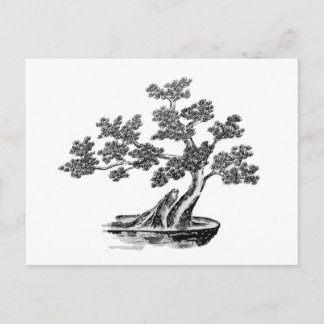 Bonsai - Chinese stijl - zwart-wit Briefkaart