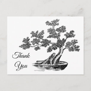 Bonsai - Chinese stijl - zwart-wit Briefkaart