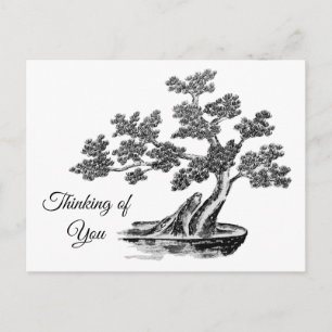 Bonsai - Chinese stijl - zwart-wit Briefkaart