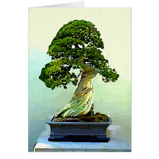 Bonsai Cypress-boom (Voorkant)