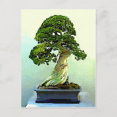 Bonsai Cypress-boom Briefkaart (Voorkant)