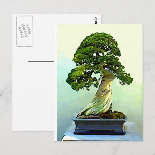 Bonsai Cypress-boom Briefkaart (Voorkant / Achterkant)