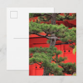 Bonsai-dennenboom Briefkaart (Voorkant / Achterkant)