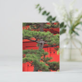 Bonsai-dennenboom Briefkaart (Staand voorkant)