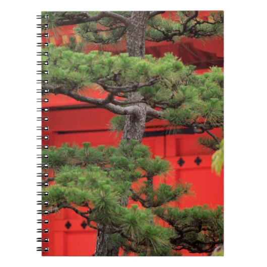 Bonsai dennenboom notitieboek (Voorkant)