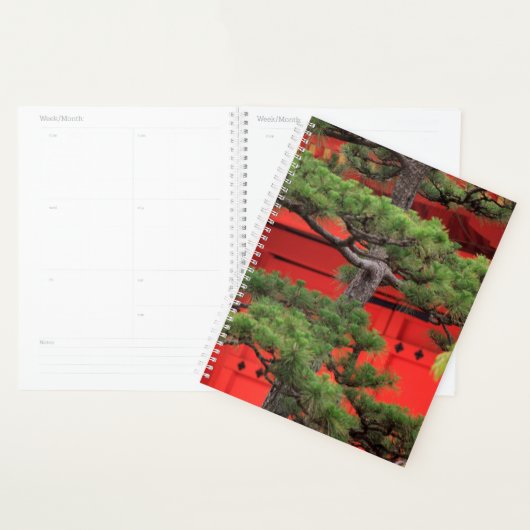 Bonsai-dennenboom Planner (Display)