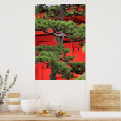 Bonsai-dennenboom Poster (Keuken)