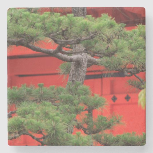 Bonsai dennenboom stenen onderzetter (Voorkant)