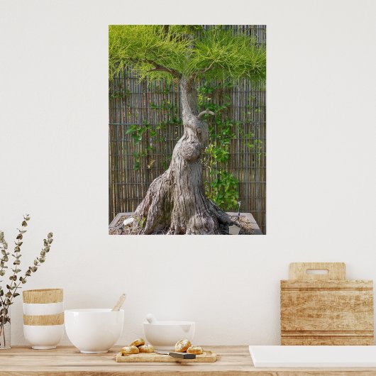 Bonsai Eejit Tree Poster (Keuken)