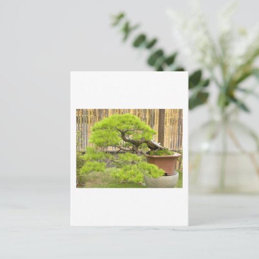 Bonsai Greetings/Invitation Briefkaart (Staand voorkant)