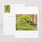 Bonsai Greetings/Invitation Briefkaart (Voorkant / Achterkant)