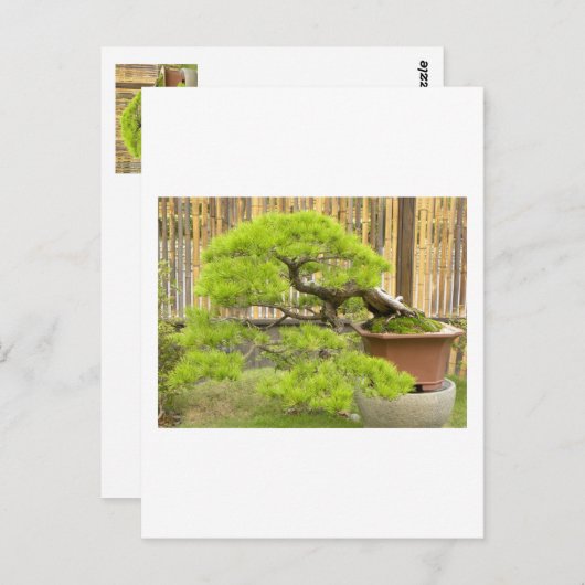 Bonsai Greetings/Invitation Briefkaart (Voorkant / Achterkant)