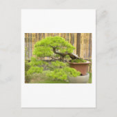 Bonsai Greetings/Invitation Briefkaart (Voorkant)