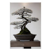 Bonsai in harmonie perfect poster (Voorkant)