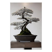 Bonsai in harmonie