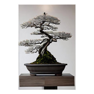 Bonsai in harmonie perfect poster