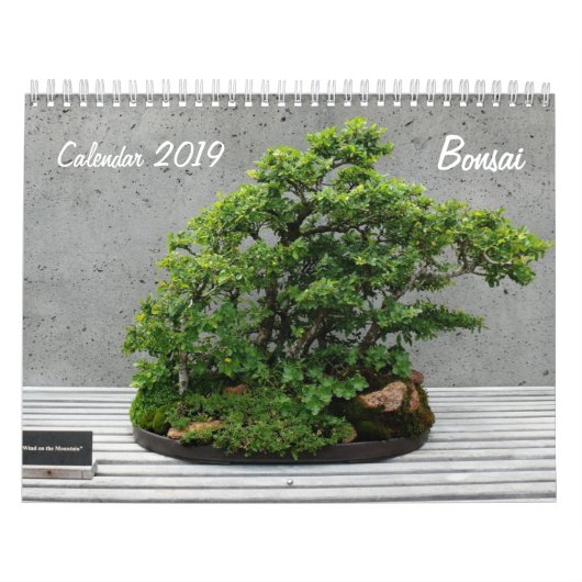 Bonsai kalender 2019 (Hoes)