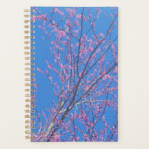 Bonsai Kalender Planner