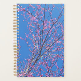 Bonsai Kalender Planner