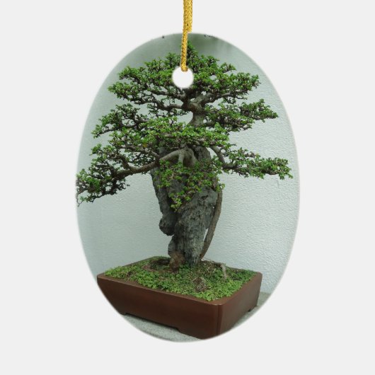 bonsai keramisch ornament (Voorkant)