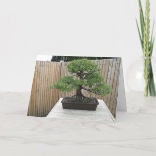 Bonsai Mugo Pine Hartelijk dank Bedankkaart