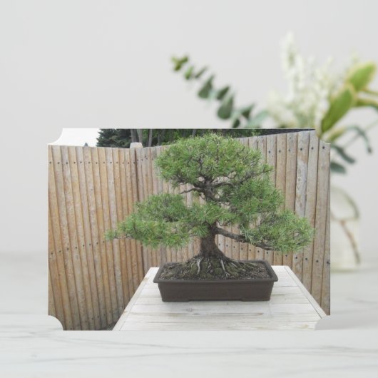 Bonsai Mugo Pine Wedding Invitations Kaart (Staand voorkant)