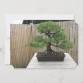 Bonsai Mugo Pine Wedding Invitations Kaart (Voorkant)