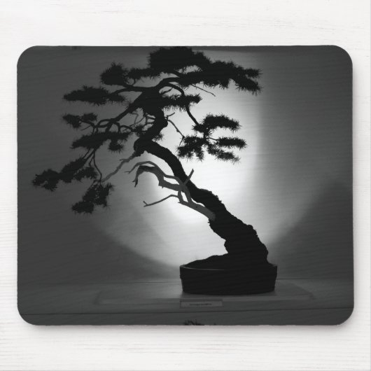 Bonsai Muismat (Voorkant)