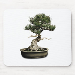 Bonsai Muismat