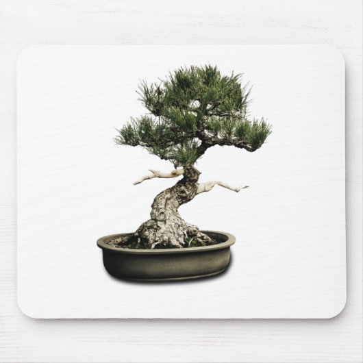 Bonsai Muismat (Voorkant)