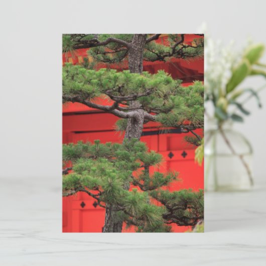Bonsai Pine Tree Bedankkaart (Staand voorkant)