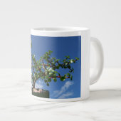 Bonsai portulacaria afra grote koffiekop (Voorkant rechts)