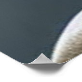 Bonsai Poster (Hoek)