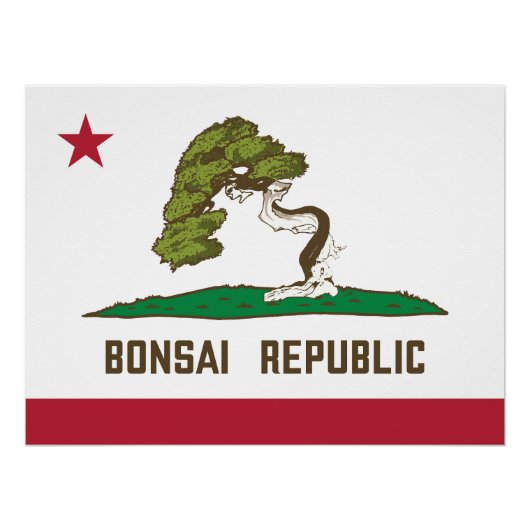 Bonsai Republiek Vlag Perfect Poster (Voorkant)