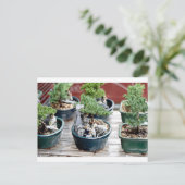 Bonsai Tree Briefkaart (Staand voorkant)