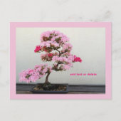 Bonsai Tree Briefkaart (Voorkant)